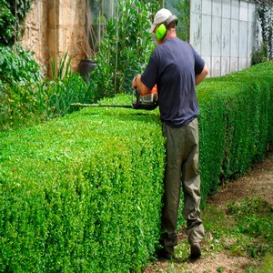 manutenção de jardim